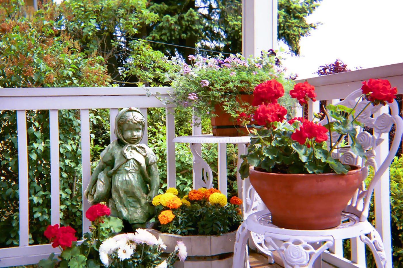 Immagine per la categoria Giardino Estate Garden Verde