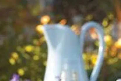 Arreda La Tavola Metto In Tavola Bottiglie - Demo 2