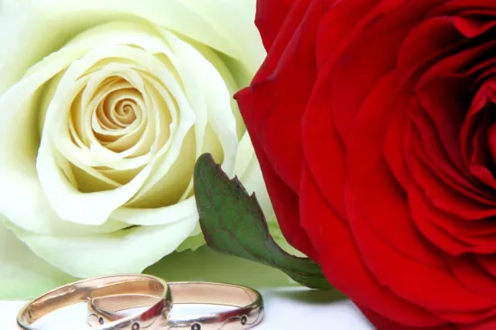 Idee Regalo Momenti Speciali Anniversario - Demo 2